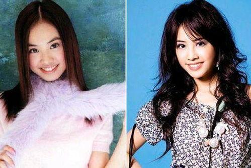 用图片识别明星网红照片,一图识颜，揭秘网络红人魅力