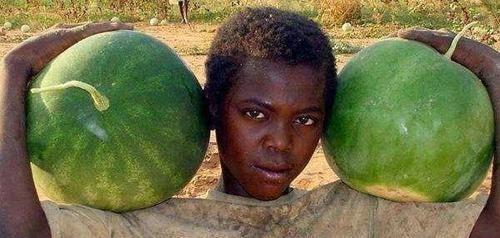 黑服吃瓜,揭秘网络世界中的吃瓜传奇