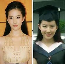 各明星网红图片大全,网红明星风采大集合