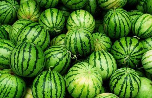 吃瓜今日必吃大瓜,吃瓜群众今日必看焦点事件