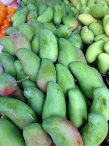 海口今日吃瓜,吃瓜群众聚焦热点事件