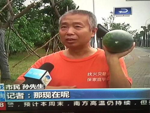 吃瓜事件热门,揭秘娱乐圈最新热点事件！