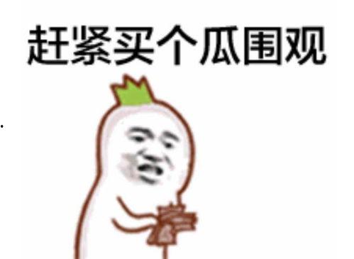 今日头条吃瓜群众表情包,笑翻网友，揭秘网络热梗背后的趣味人生