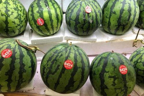 51吃瓜 今日吃瓜 中心,今日热点事件深度解析