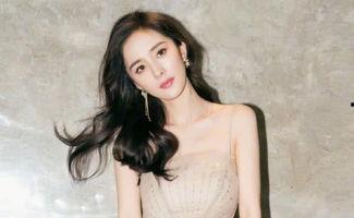 容易遭黑的明星网红,那些容易遭黑的明星网红背后的真相