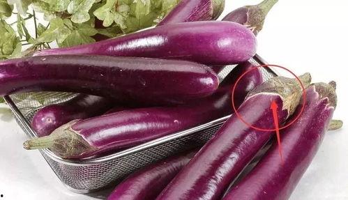 茄子视频吃瓜热门,热门吃瓜话题盘点