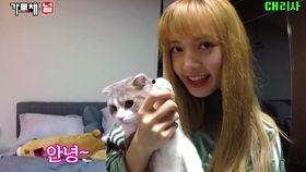 吃瓜今日吃瓜入口lisa