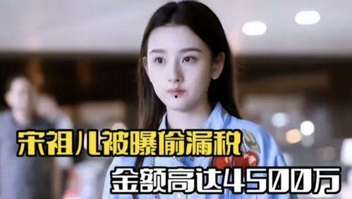 明星网红 税,揭秘娱乐圈背后的税务秘密