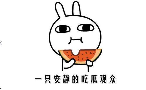 吃瓜热门,揭秘娱乐圈最新热点事件