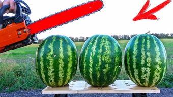 今日吃瓜海外吃瓜,今日海外吃瓜大盘点