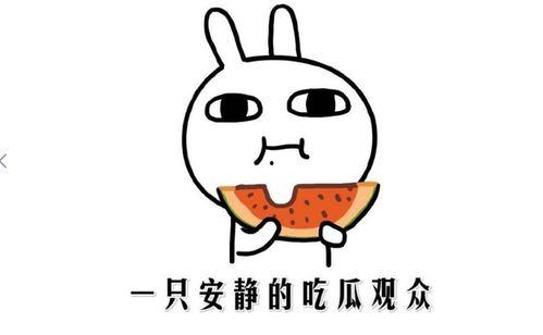 吃瓜看热门,吃瓜群众视角下的热门事件盘点