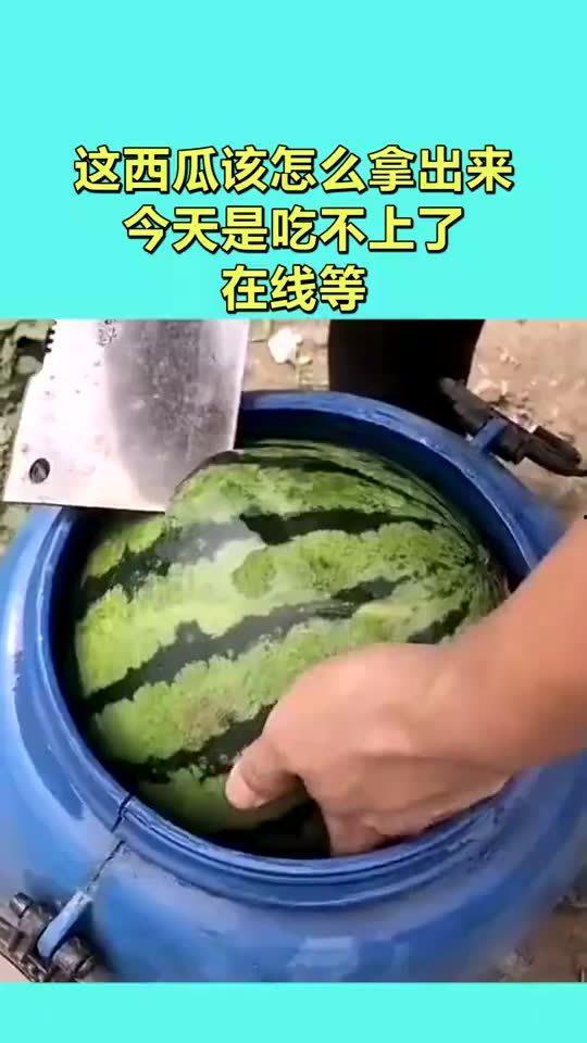 吃瓜今日吃瓜入口在线,网络热词背后的趣味与思考