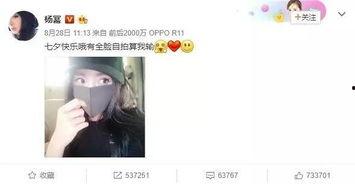 为什么说明星网红,如何打造个人品牌与影响力