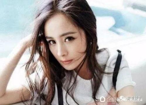 媒体明星网红排名,谁将引领潮流风向标？