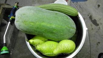 吃瓜老白热门大瓜,娱乐圈风云再起