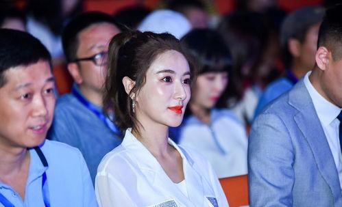 明星网红偷税漏税案例,明星网红偷税漏税案例深度剖析